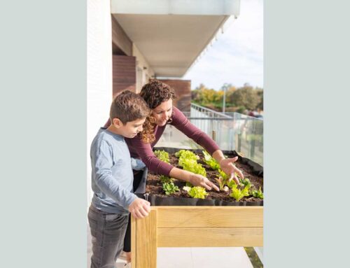 Grow food from home